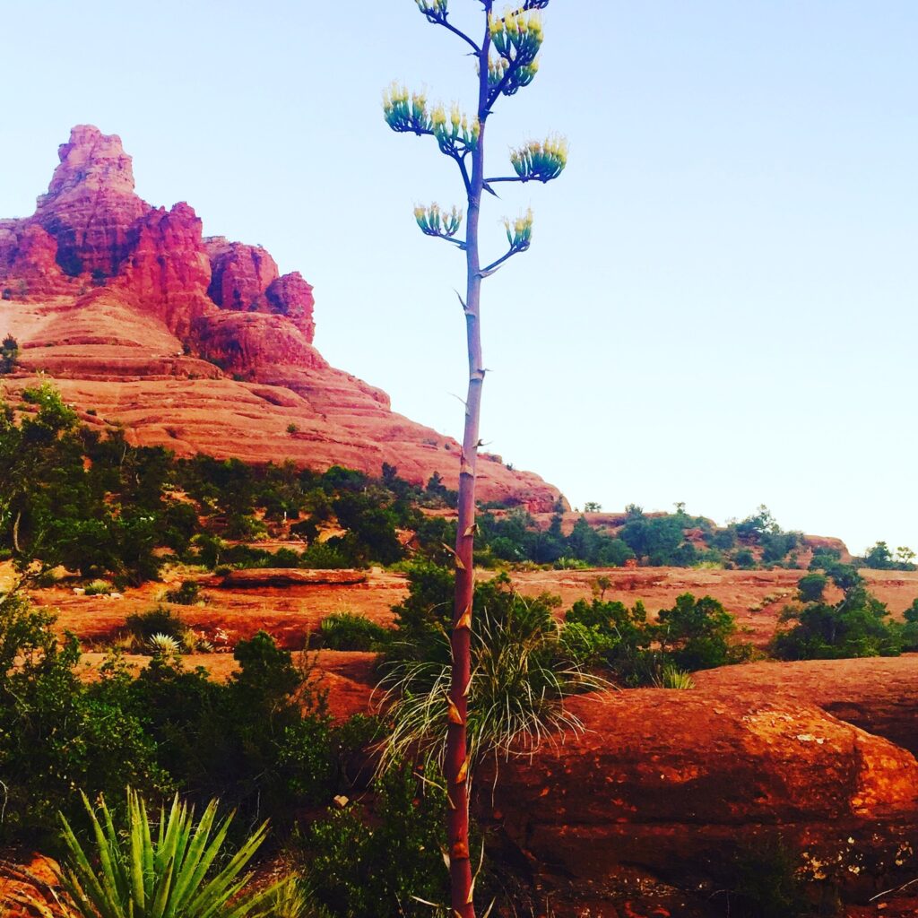 Bell Rock Sedona